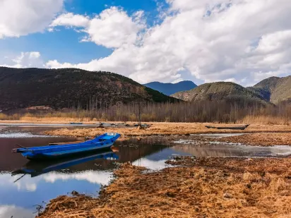 Casilando Casino Mobil App